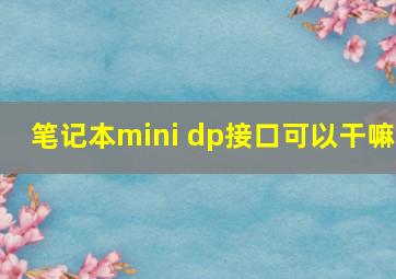 笔记本mini dp接口可以干嘛